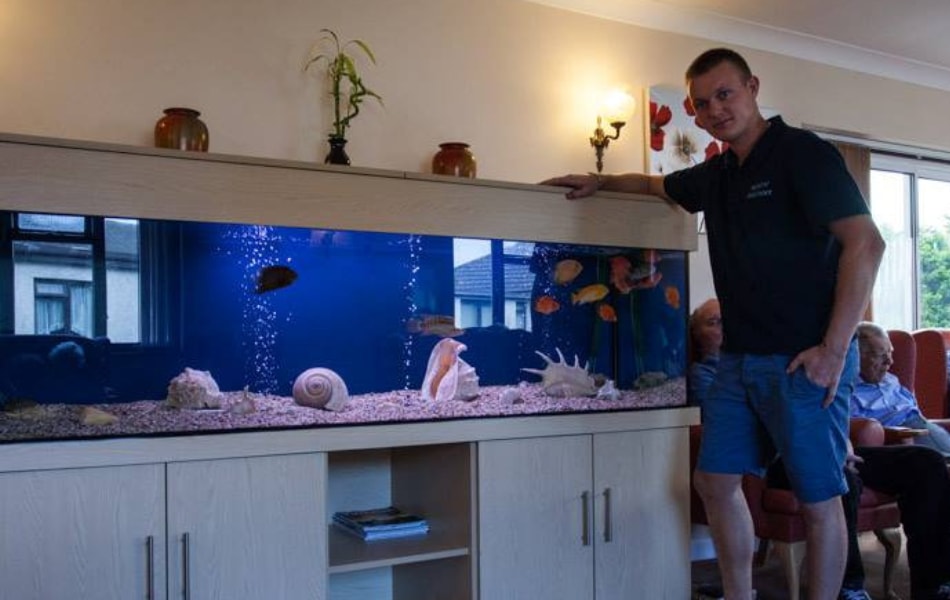 5ft aquarium care home