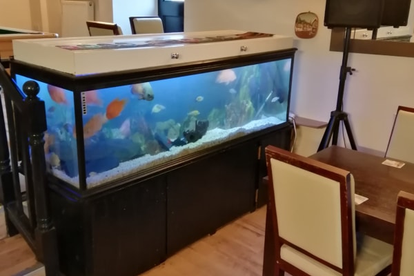 Aquarium installations