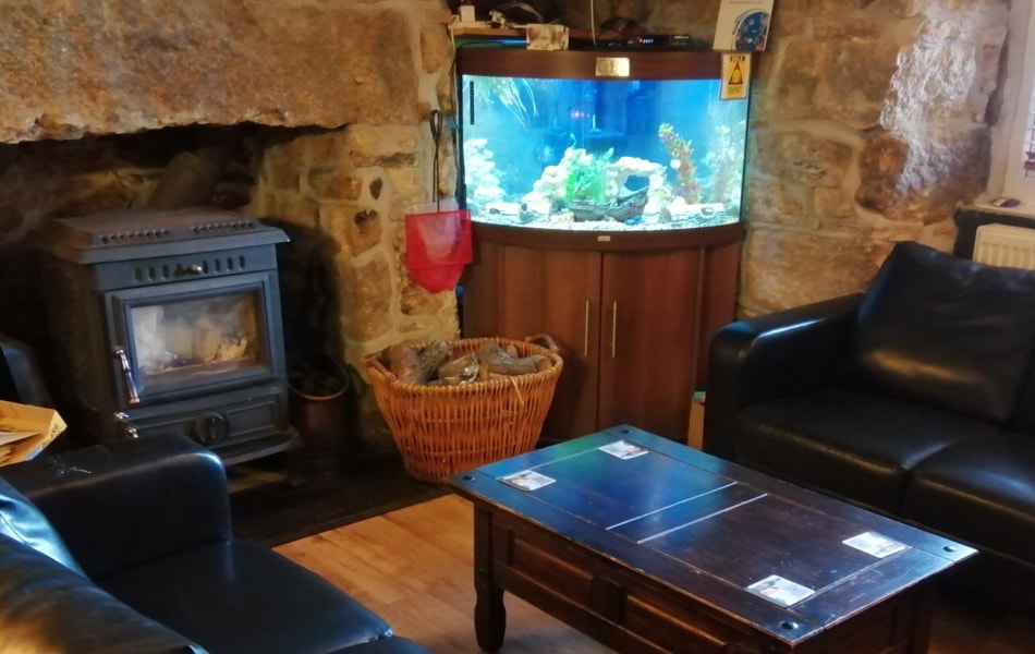 Bow aquarium