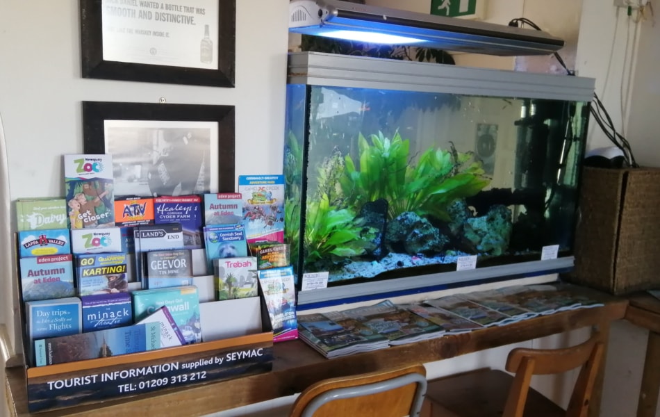 Aquarium rentals